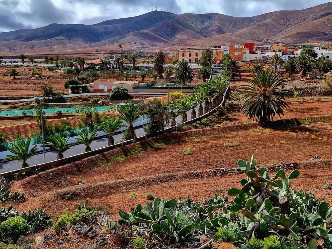 Casa Del Mar Air-Conditioned Apartment With Swimming Pools - Corralejo Playa المظهر الخارجي الصورة
